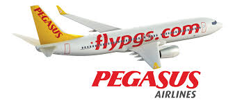 Pegasus Edirne - Diyarbakır Bilet Alma Telefon 